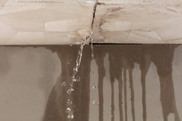 Professional Burst Pipe Cleanup technician working in Preston, IA